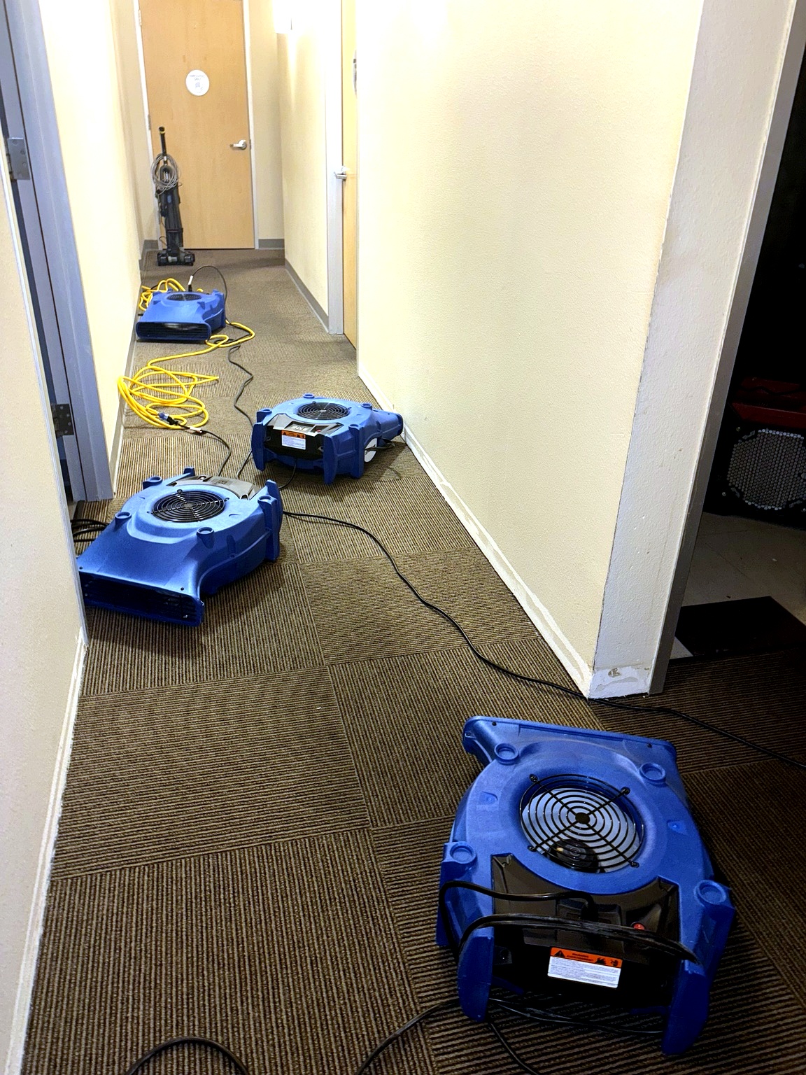 Commercial emergency water damage restoration & mitigation in Georgetown, TX — multiple air movers drying carpeted office hallway after burst pipe